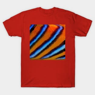 Colorful Natural Stripes Pattern T-Shirt